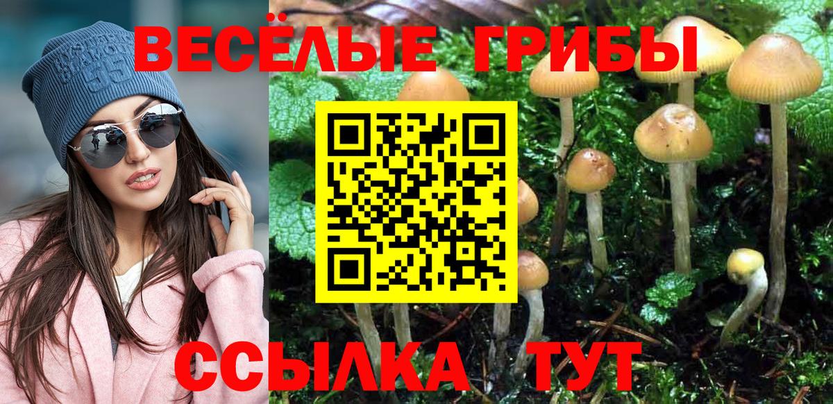 Галлюциногенные грибы Magic Shrooms  Вход с VPN  Кумертау 