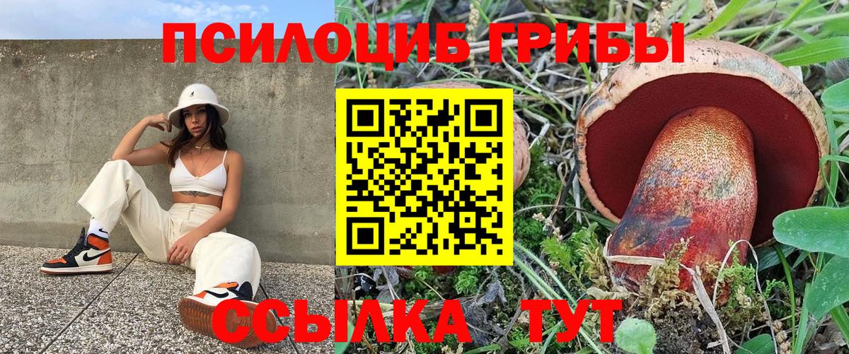 Псилоцибиновые грибы GOLDEN TEACHER Кумертау
